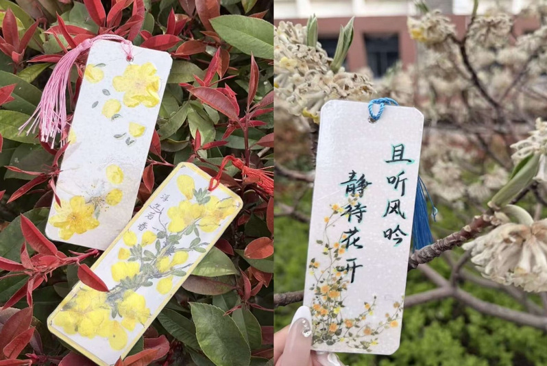 机械与材料工程系心理站顺利举办...